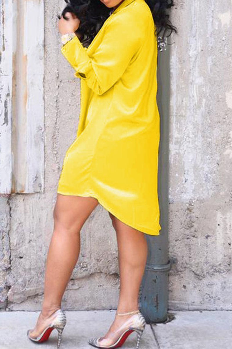 Well Tailored Dress with a Graceful Silhouette