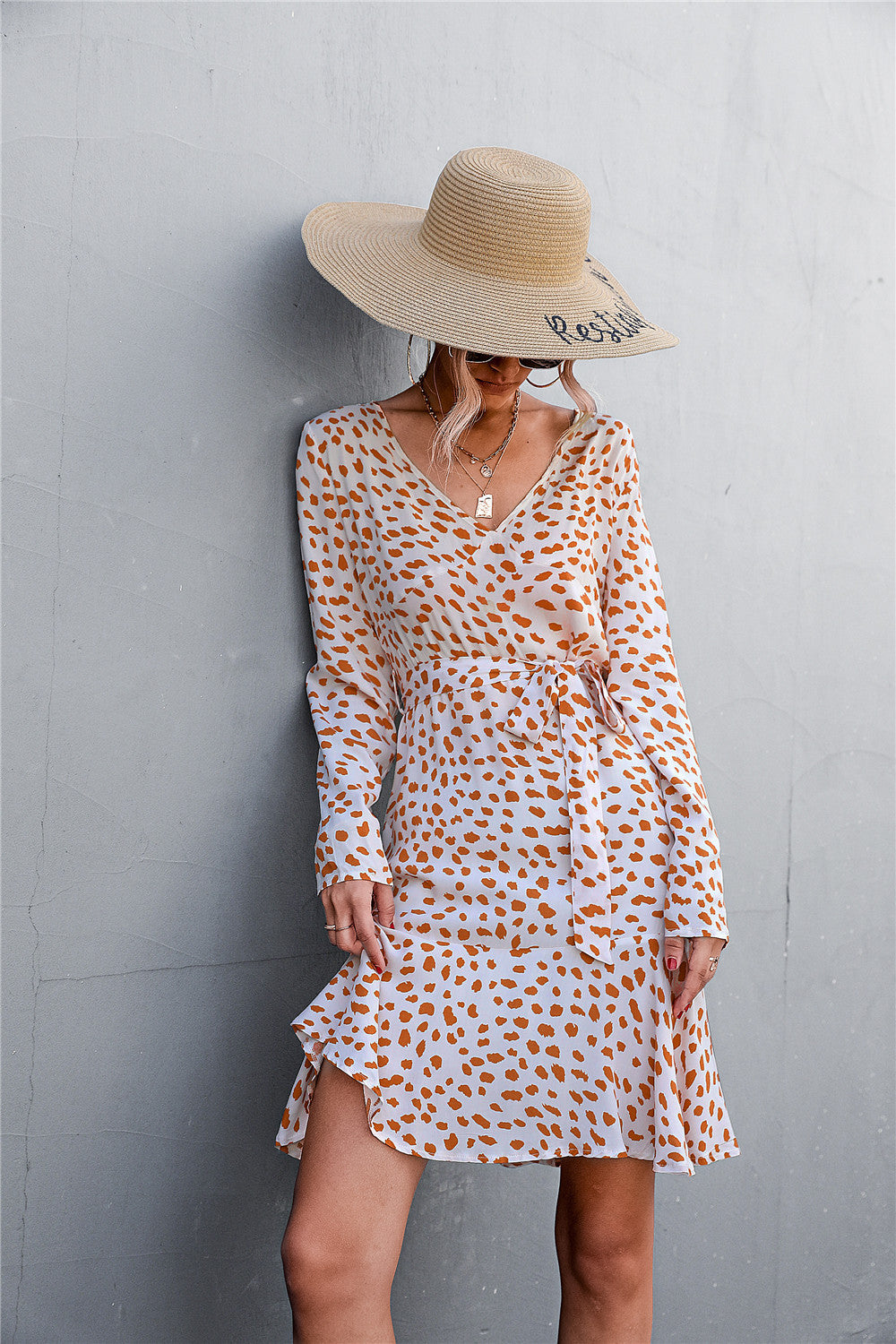Sophisticated Dress with a Clean Classic Look