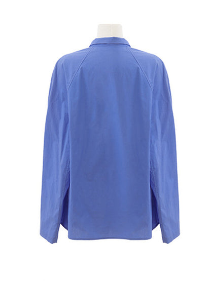 Gracefully Styled Blouse for Any Occasion