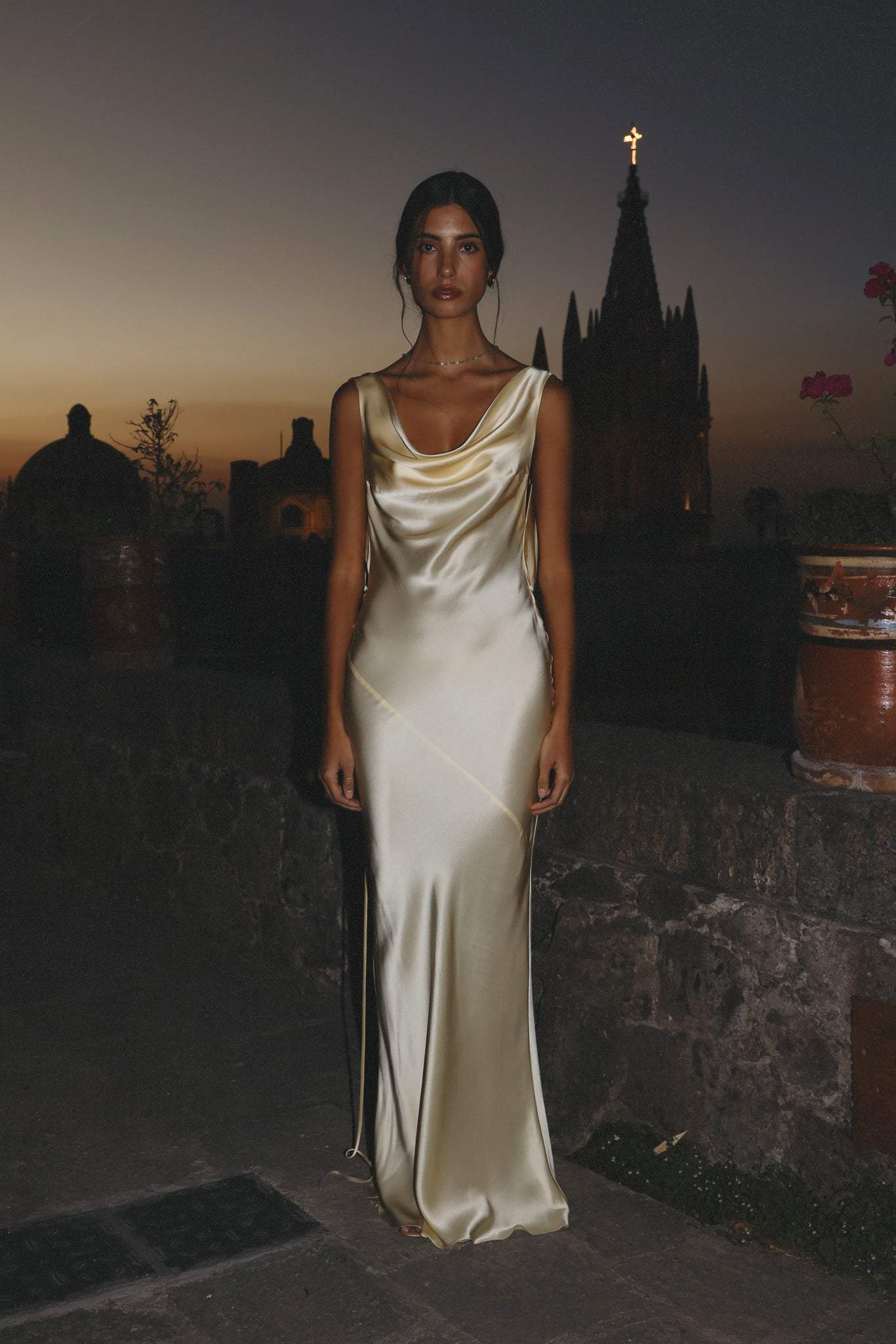 Sophisticated Dress with a Clean Classic Look