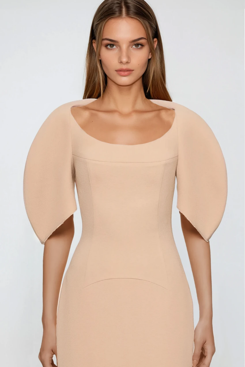 Gracefully Styled Dress for Any Occasion