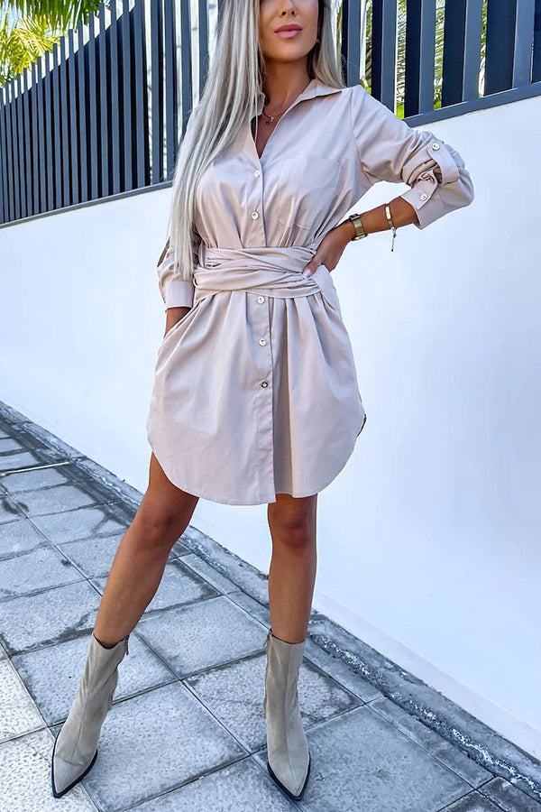Sophisticated Dress with a Clean Classic Look