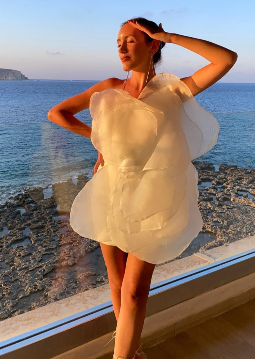 Beautifully Finished Dress in a Timeless Design