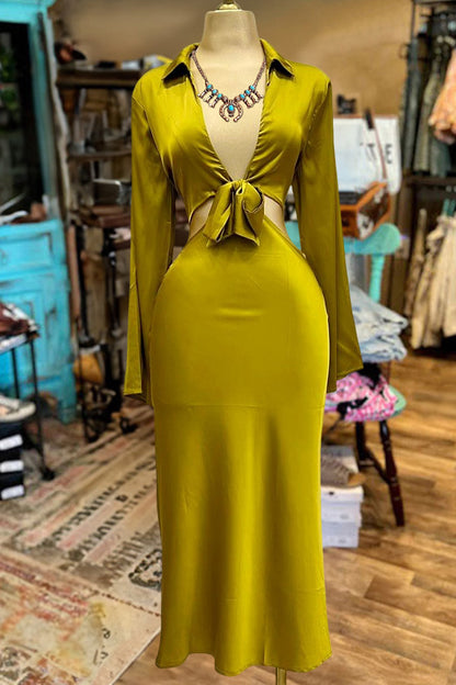 Gracefully Styled Dress for Any Occasion