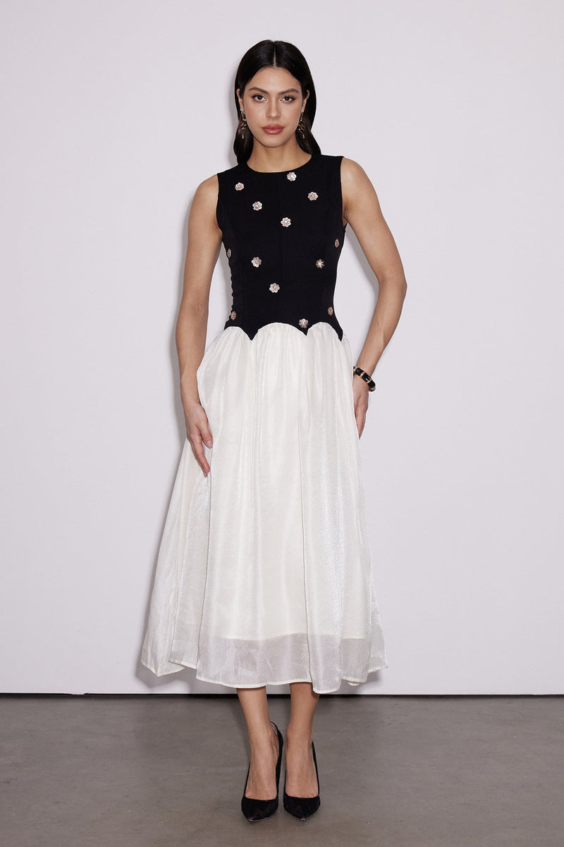 Beautifully Balanced Dress with Timeless Character