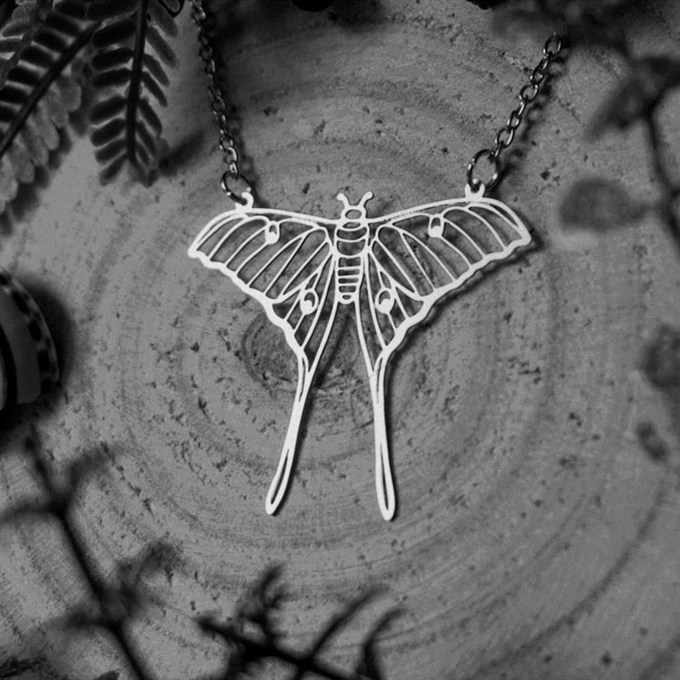 Beautifully Balanced Garment with Timeless Character