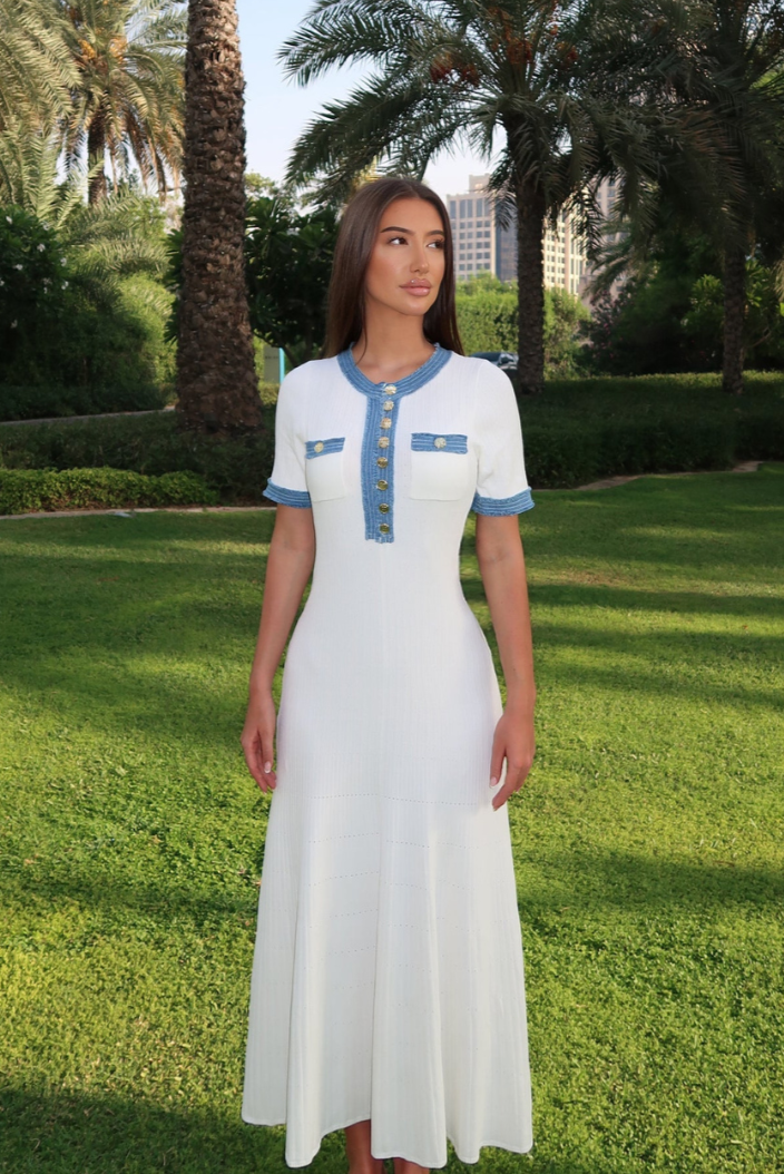 Sophisticated Dress with a Clean Classic Look