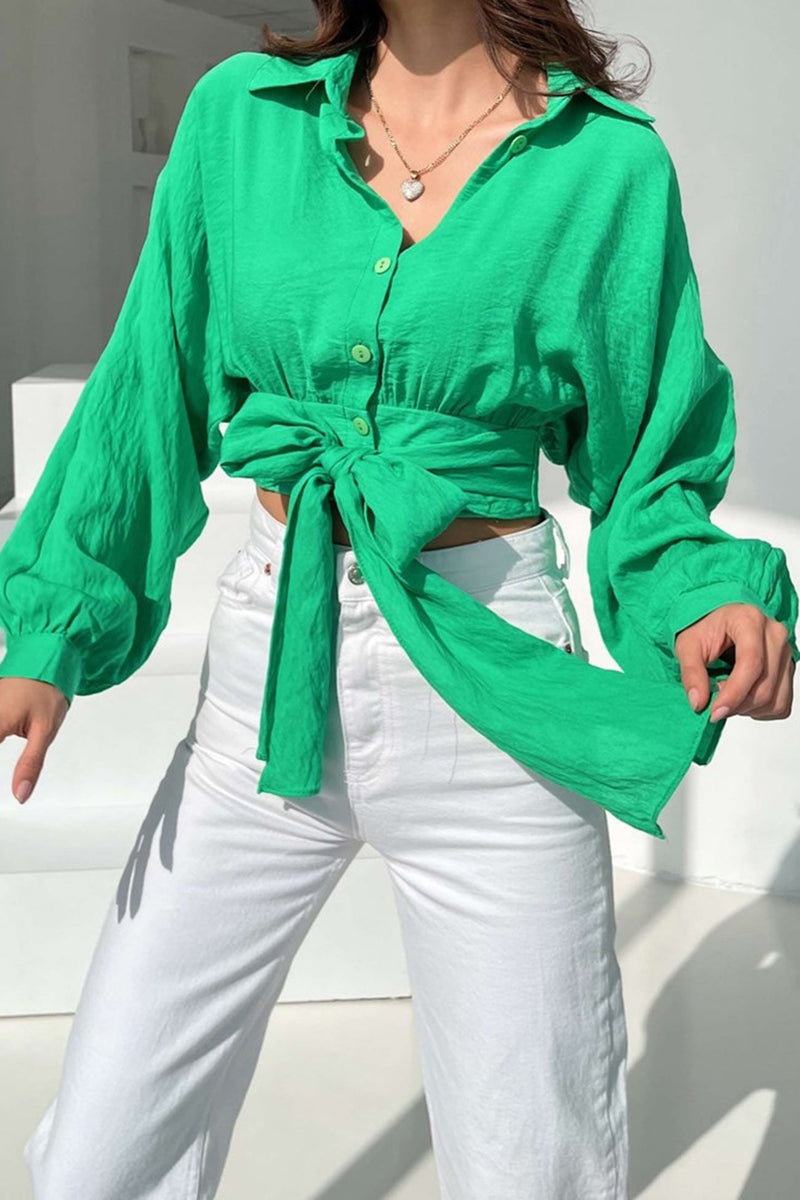 Sophisticated Blouse with a Clean Classic Look