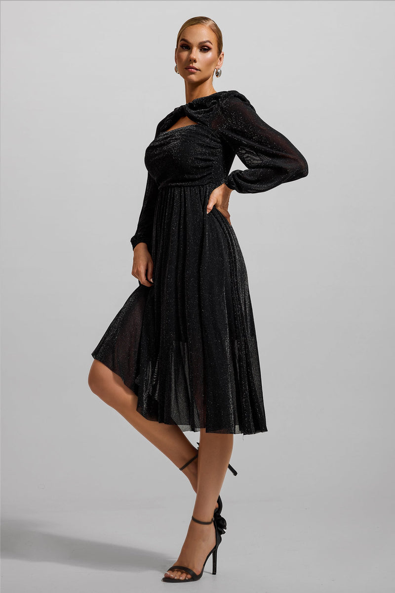 Gracefully Styled Dress for Any Occasion