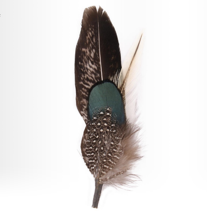 Gracefully Styled Garment for Any Occasion