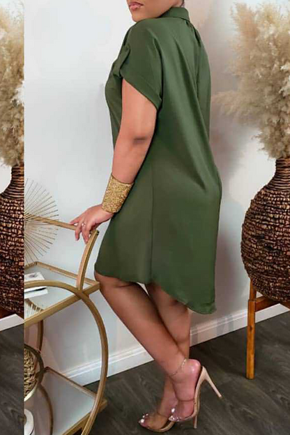 Beautifully Crafted Dress in a Classic Style