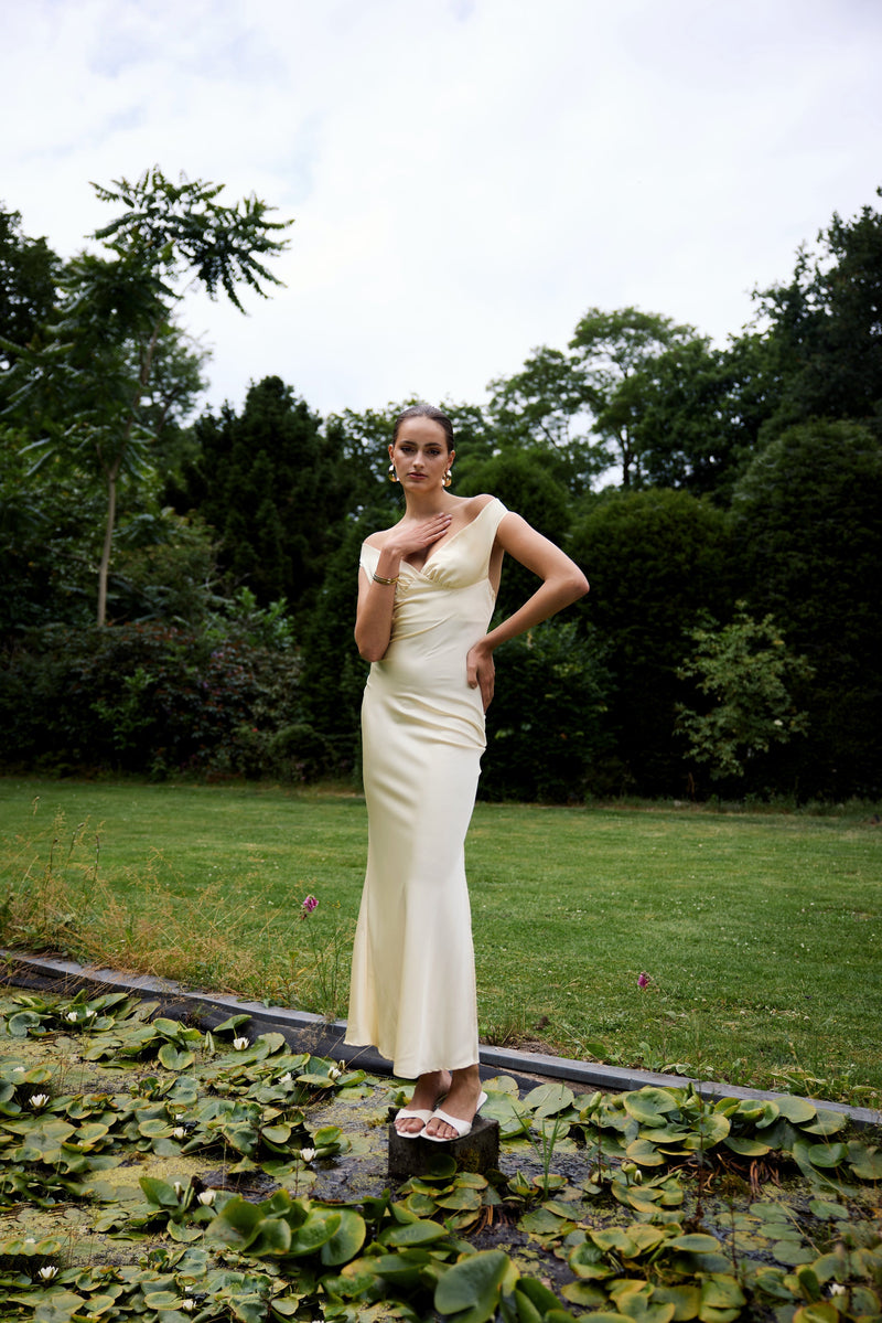 Gracefully Styled Dress for Any Occasion