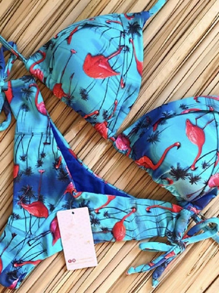 Classic Vintage Bikini with a Flattering Fit