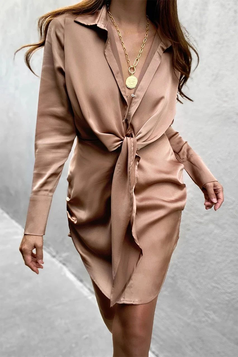Elegantly Styled Dress for Everyday Wear