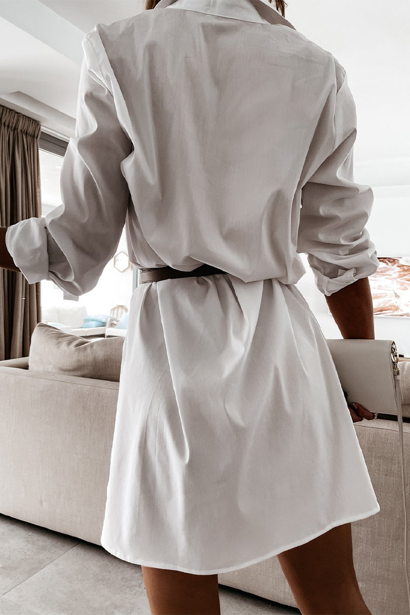 Sophisticated Dress with a Clean Classic Look