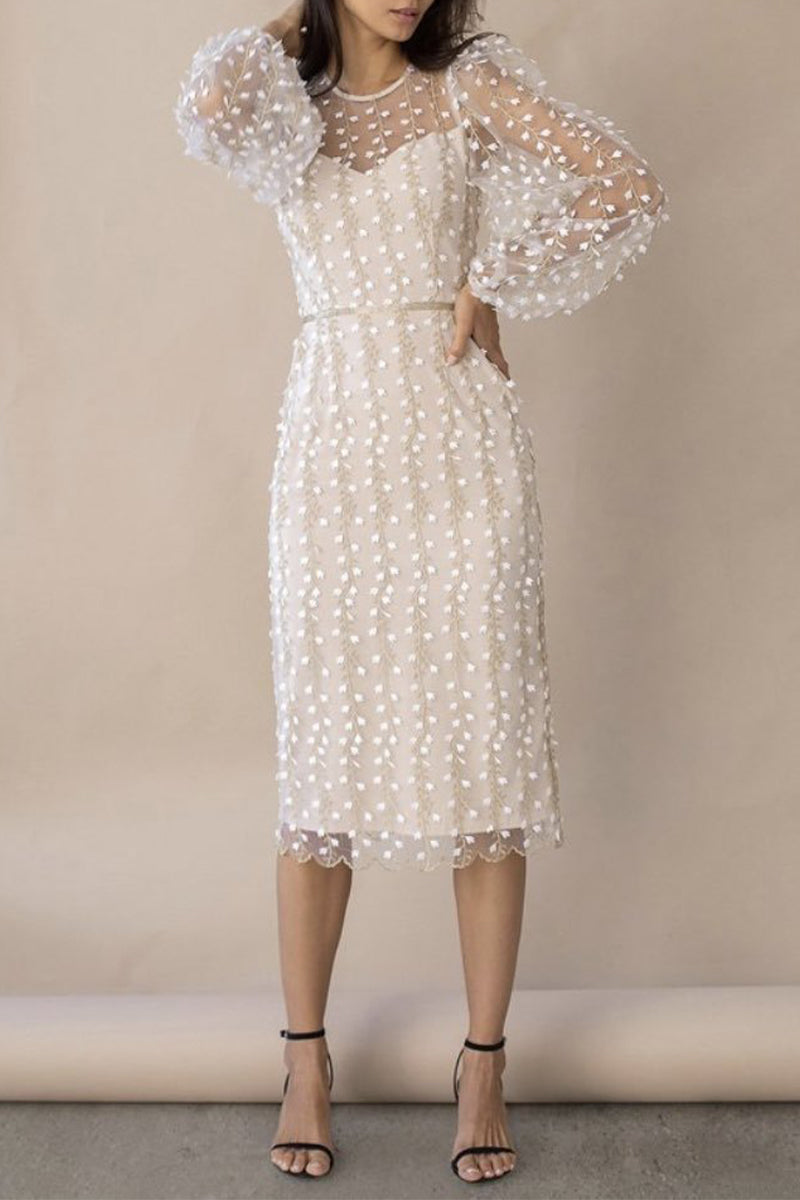 Beautifully Crafted Dress in a Classic Style