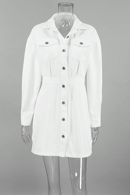 Sophisticated Dress with a Clean Classic Look