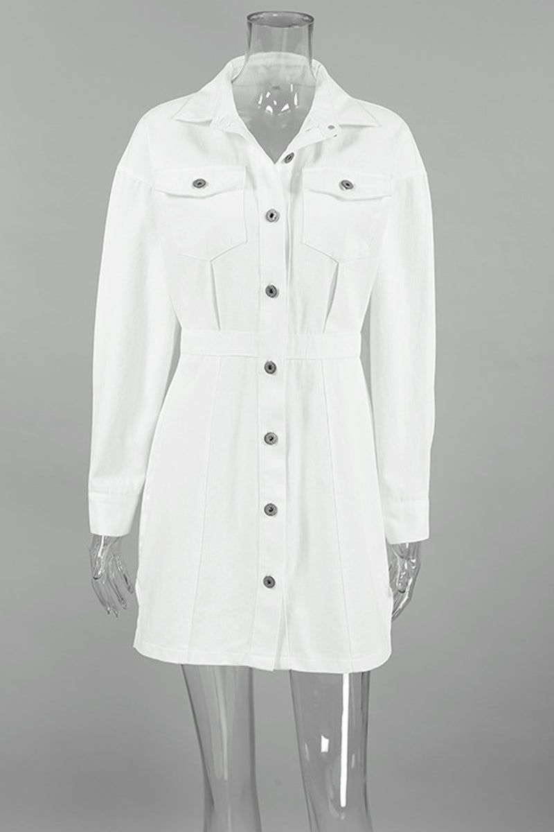 Sophisticated Dress with a Clean Classic Look