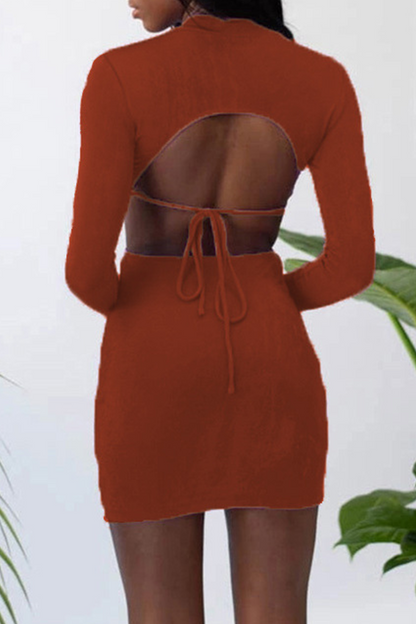 Gracefully Styled Dress for Any Occasion