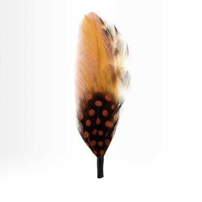 Gracefully Styled Garment for Any Occasion