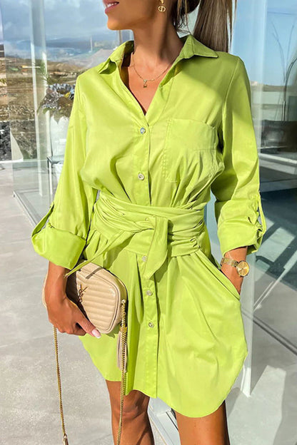 Sophisticated Dress with a Clean Classic Look