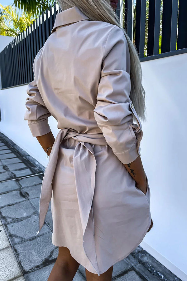 Sophisticated Dress with a Clean Classic Look