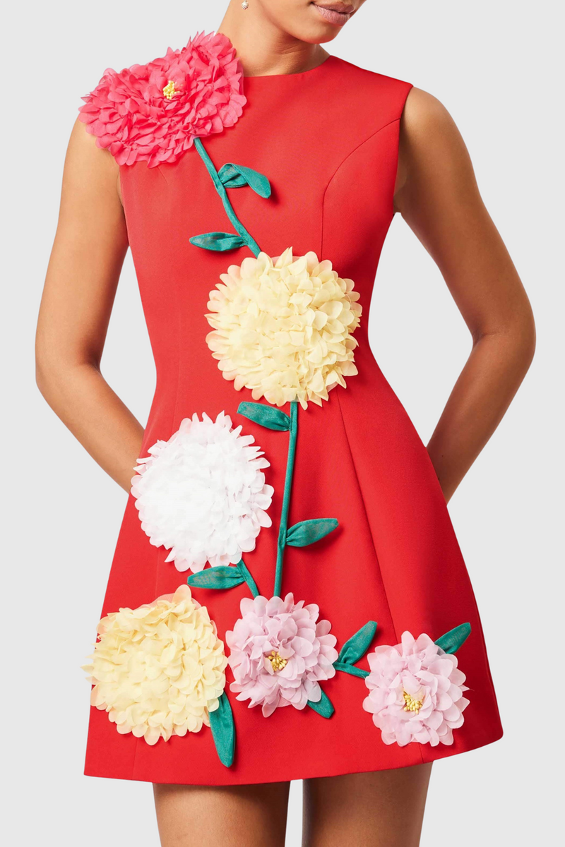 Sophisticated Dress with a Clean Classic Look