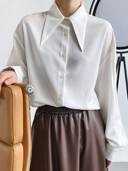 Sophisticated Blouse with a Clean Classic Look