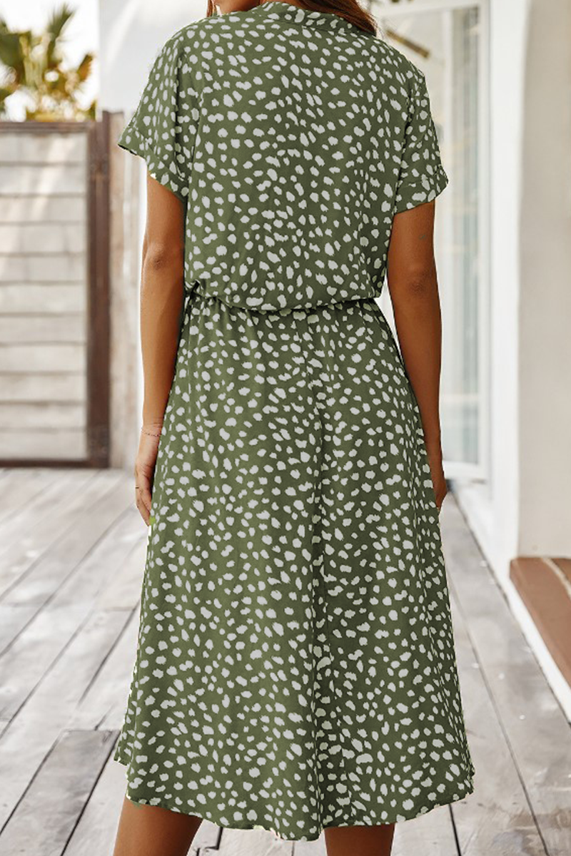 Sophisticated Dress with a Clean Classic Look