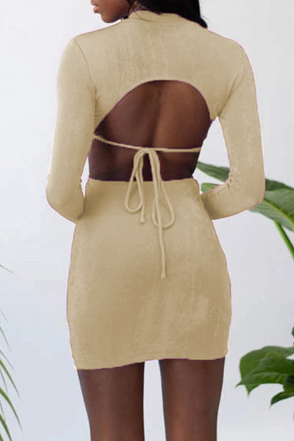 Gracefully Styled Dress for Any Occasion