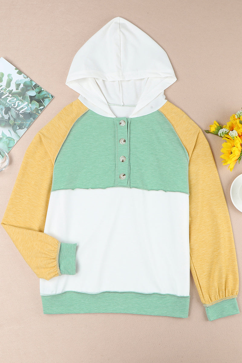 Sophisticated Garment with a Clean Classic Look