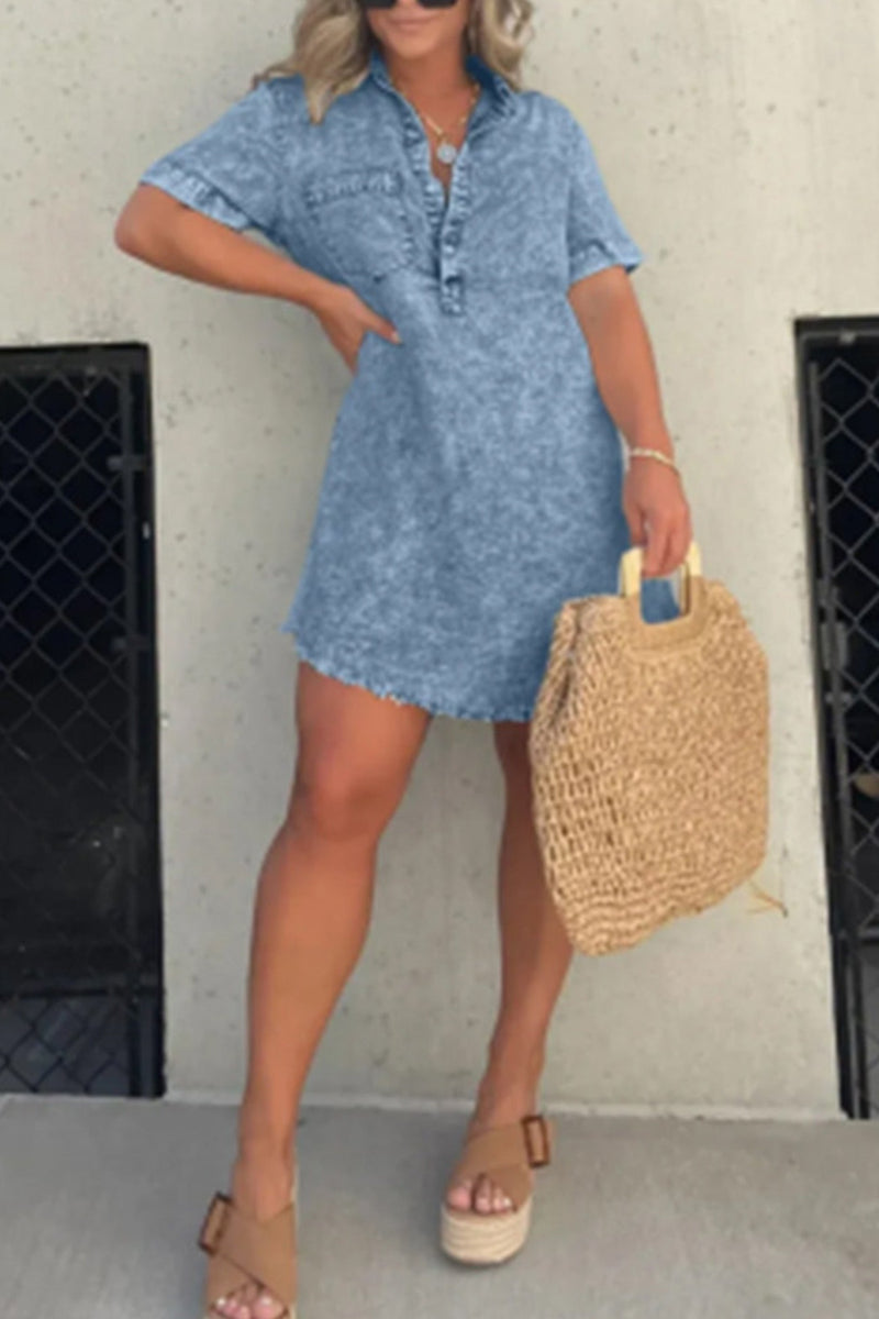 Sophisticated Dress with a Clean Classic Look
