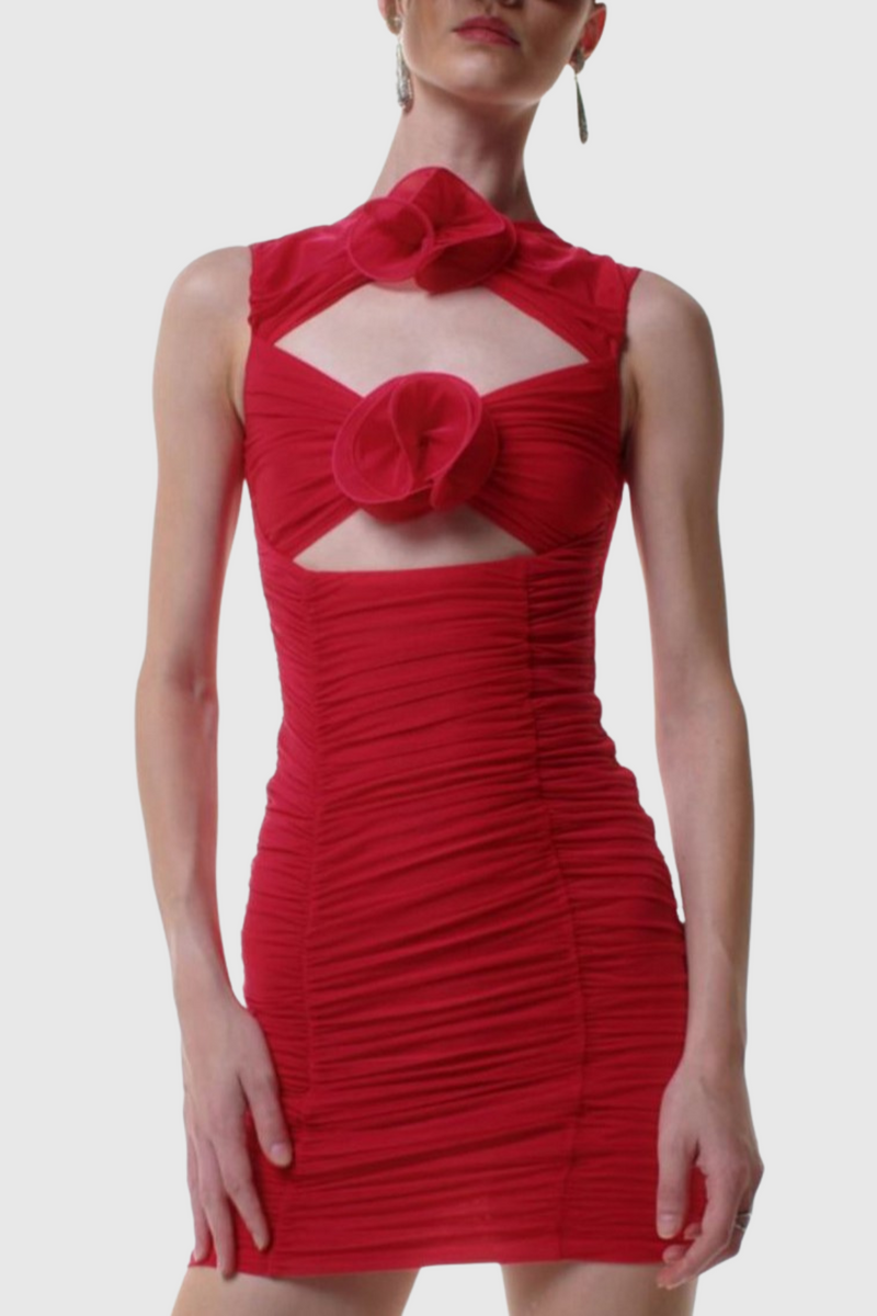 Classic Vintage & Enduringly Stylish Dress