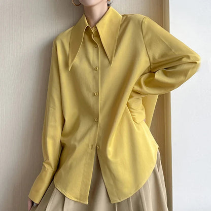 Beautifully Crafted Blouse in a Classic Style