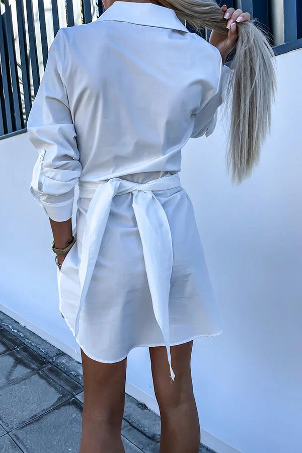 Sophisticated Dress with a Clean Classic Look