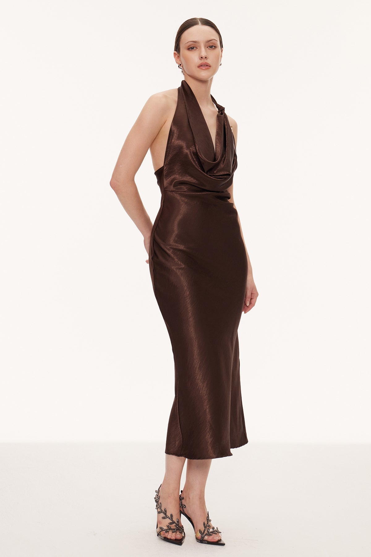 Gracefully Styled Dress for Any Occasion
