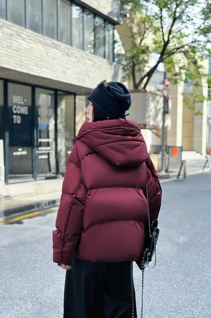 Gracefully Styled Jacket for Any Occasion