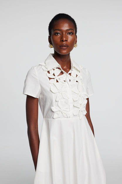 Gracefully Styled Dress for Any Occasion