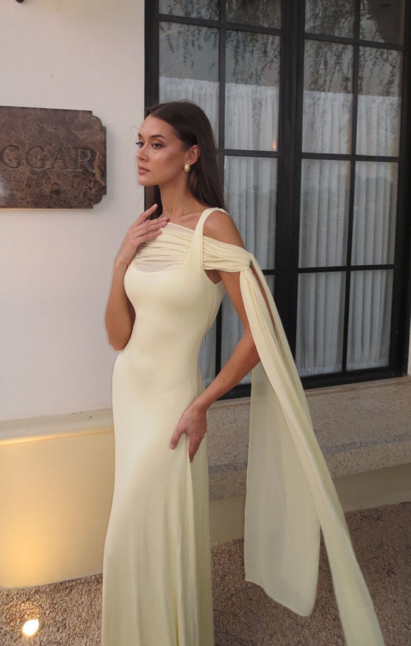 Gracefully Styled Dress for Any Occasion
