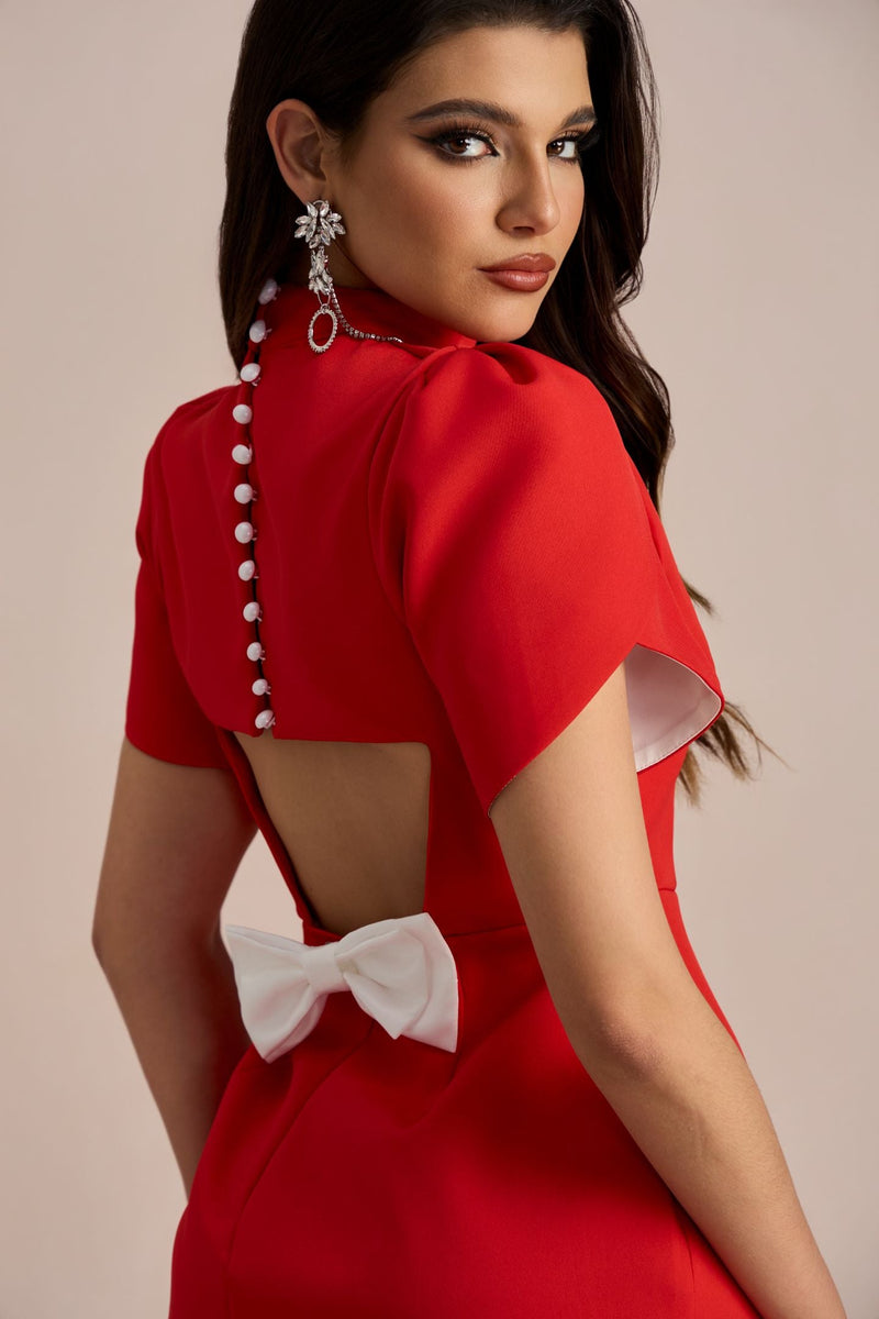 Gracefully Styled Dress for Any Occasion
