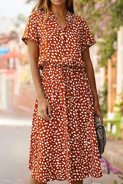 Sophisticated Dress with a Clean Classic Look