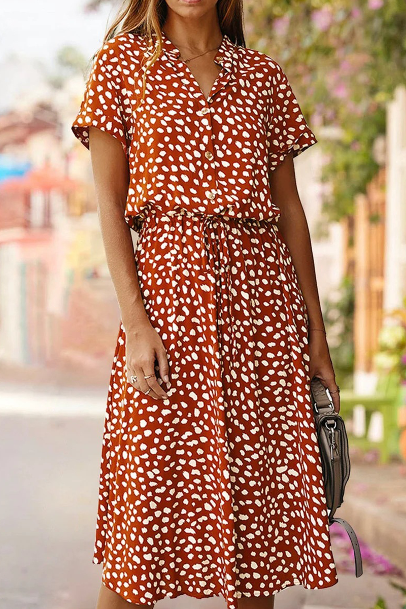 Sophisticated Dress with a Clean Classic Look