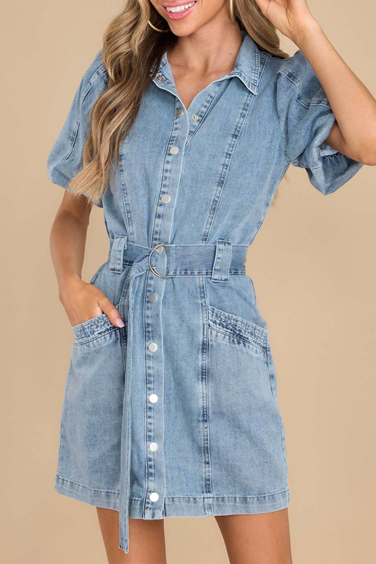 Sophisticated Dress with a Clean Classic Look