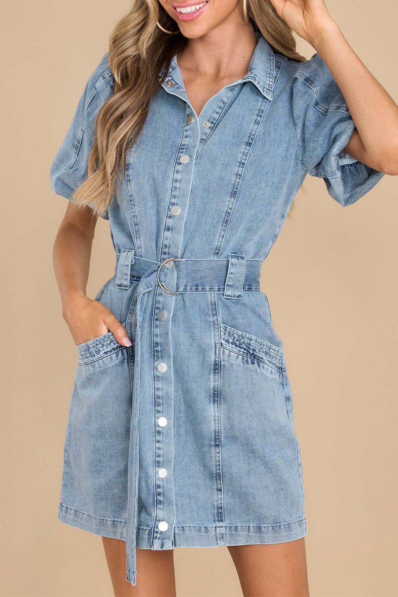 Sophisticated Dress with a Clean Classic Look