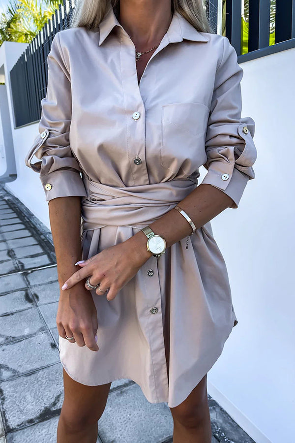 Sophisticated Dress with a Clean Classic Look