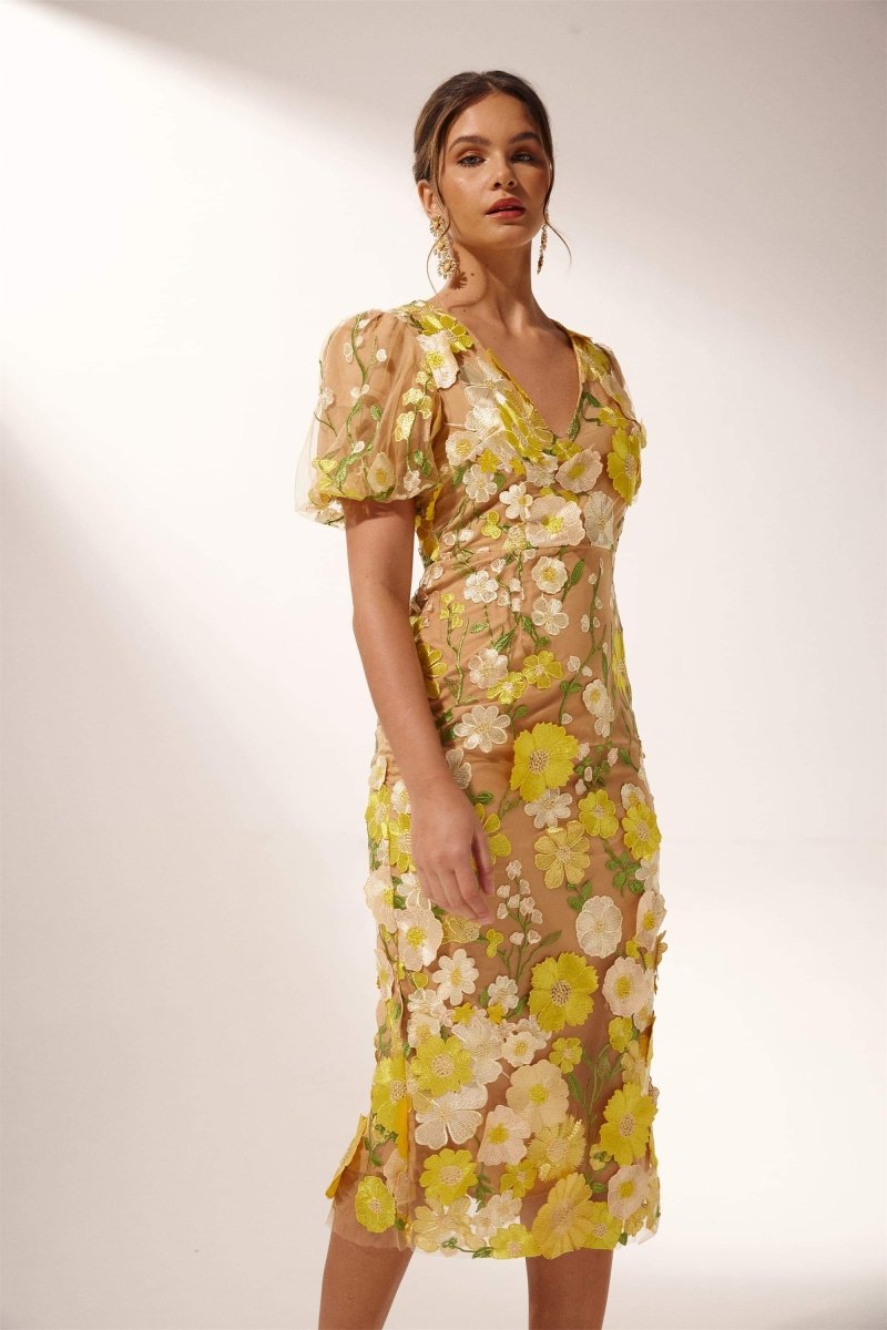 Sophisticated Dress with a Clean Classic Look