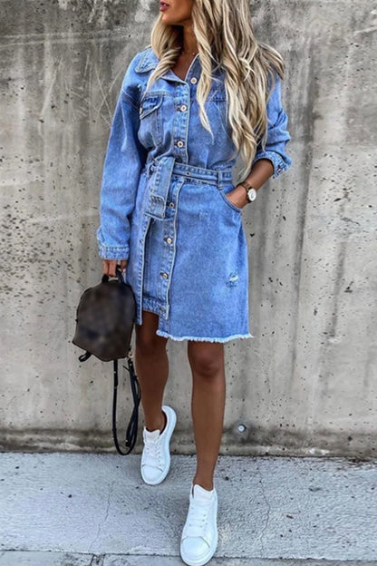 Classic Vintage & Enduringly Stylish Dress