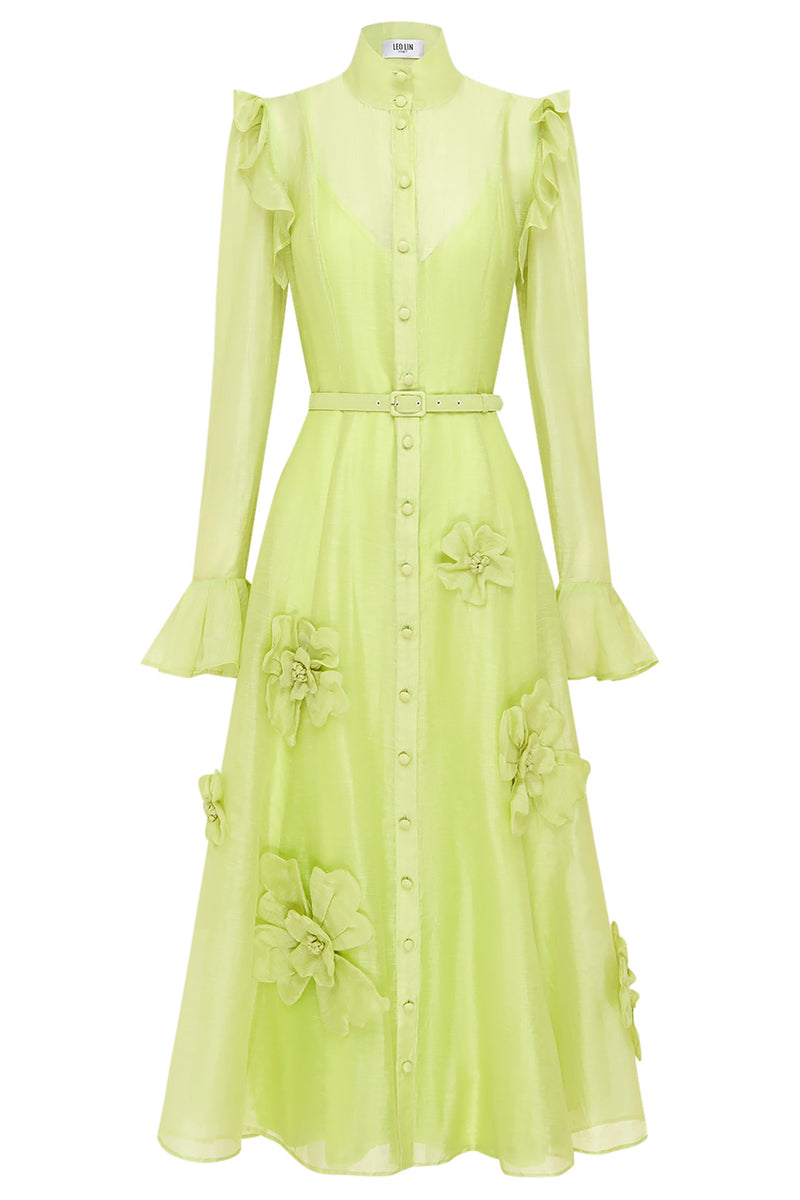 Beautifully Balanced Dress with Timeless Character