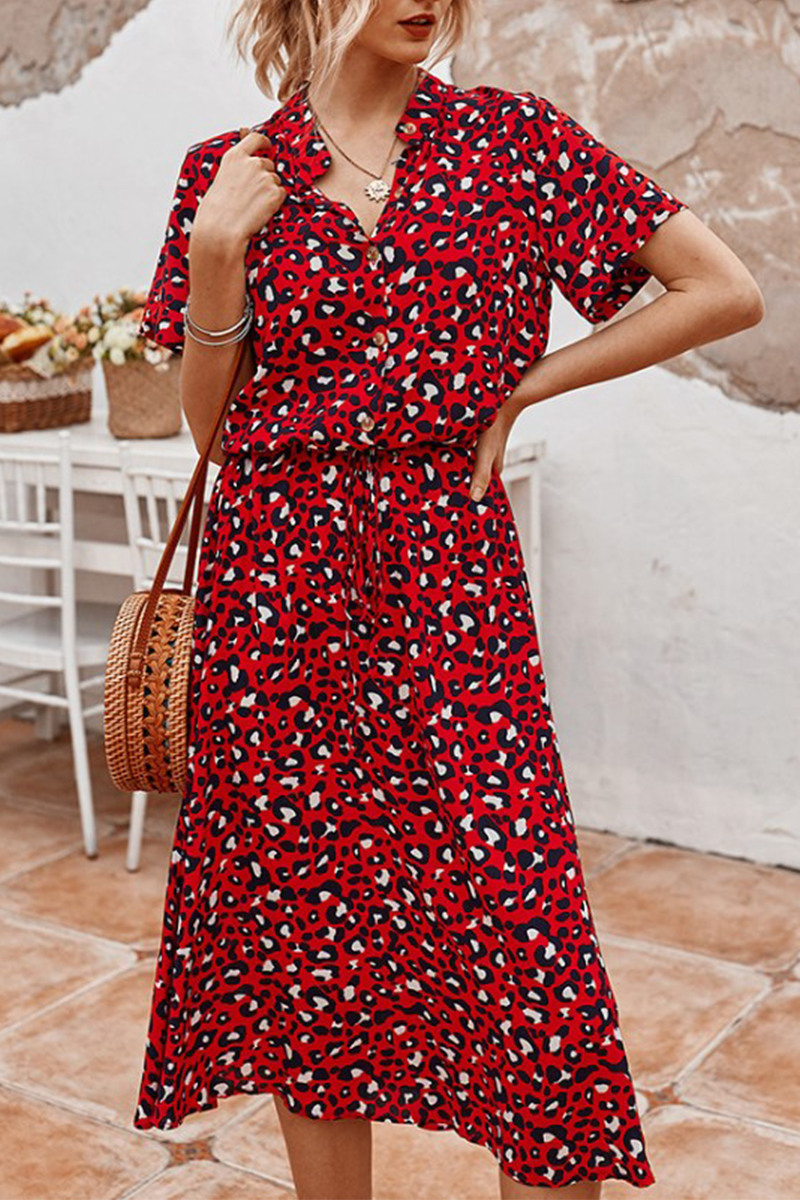 Sophisticated Dress with a Clean Classic Look