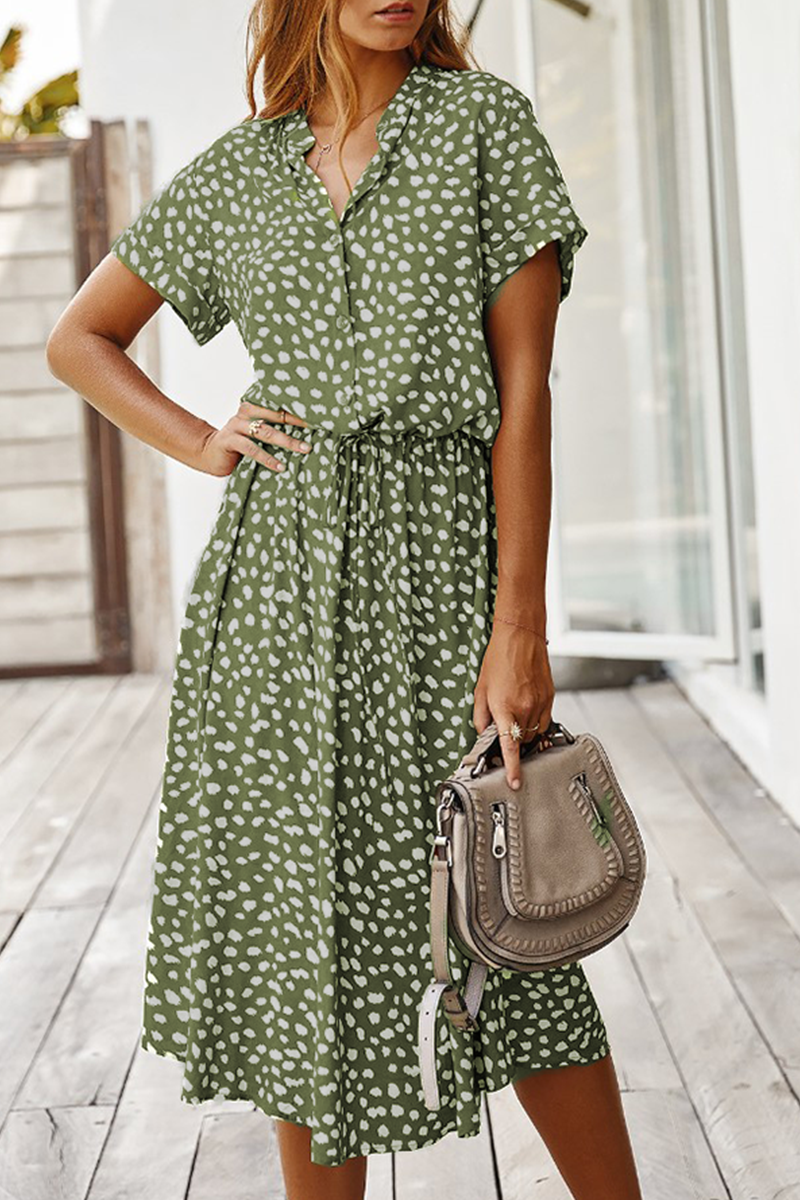 Sophisticated Dress with a Clean Classic Look